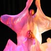 belly dance EEMED Amara Anaheed