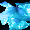 belly dance EEMED Amara Anaheed