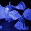 belly dance EEMED Amara Anaheed Tonda