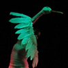 belly dance EEMED Djahari