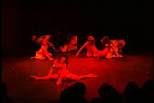 X-Magika belly dance company