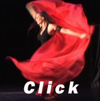 EEMED 2008 Video Clip